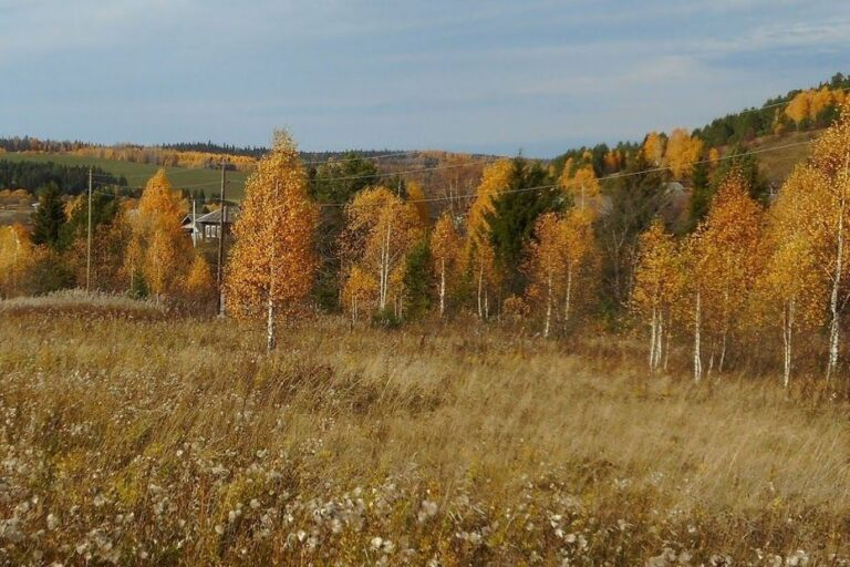 Фото из архива автора