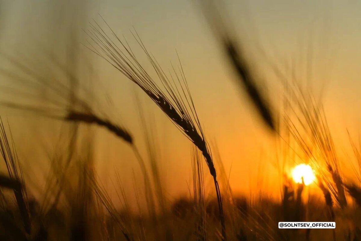    Фото: пресс-служба, Источник: Телеграм-канал Врио губернатора Оренбургской области Евгения Солнцева