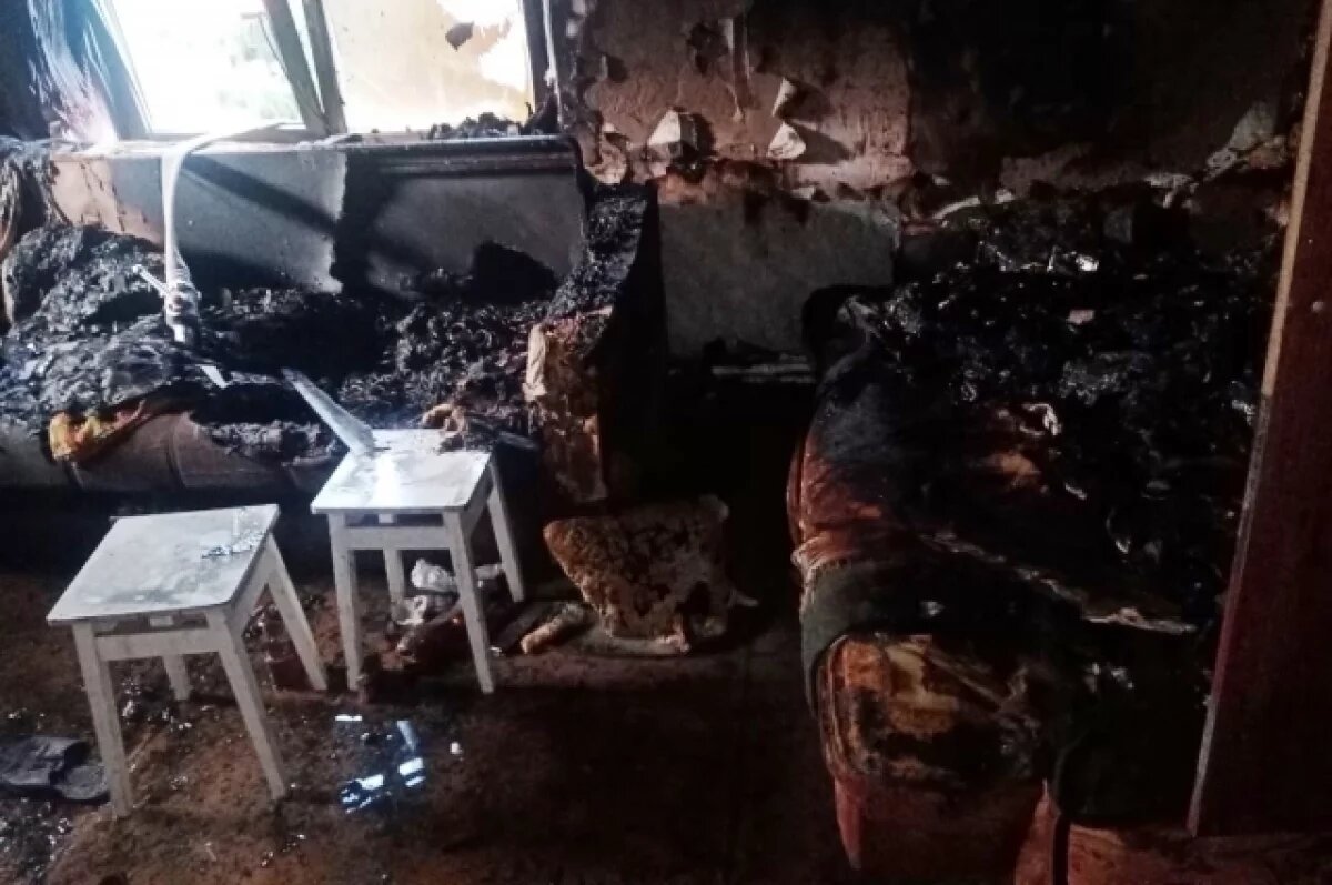    Произошедшие в Самарской области пожары унесли жизни двух человек