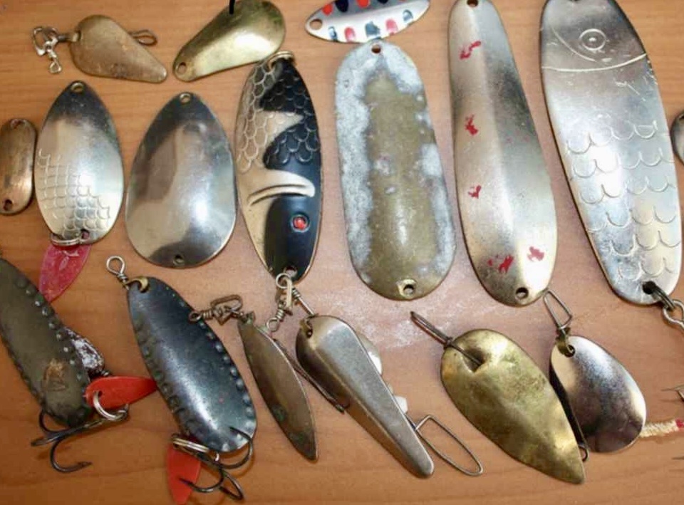 Фото из интернета. Такого плана были рыбки)