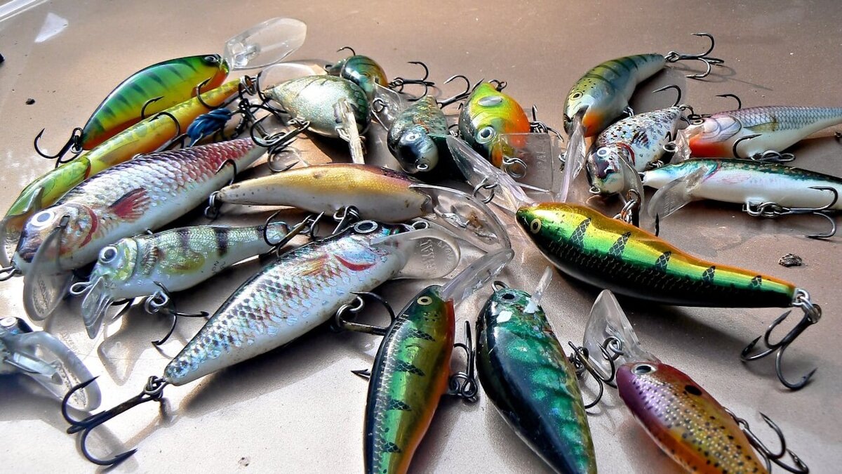 Фото из интернета