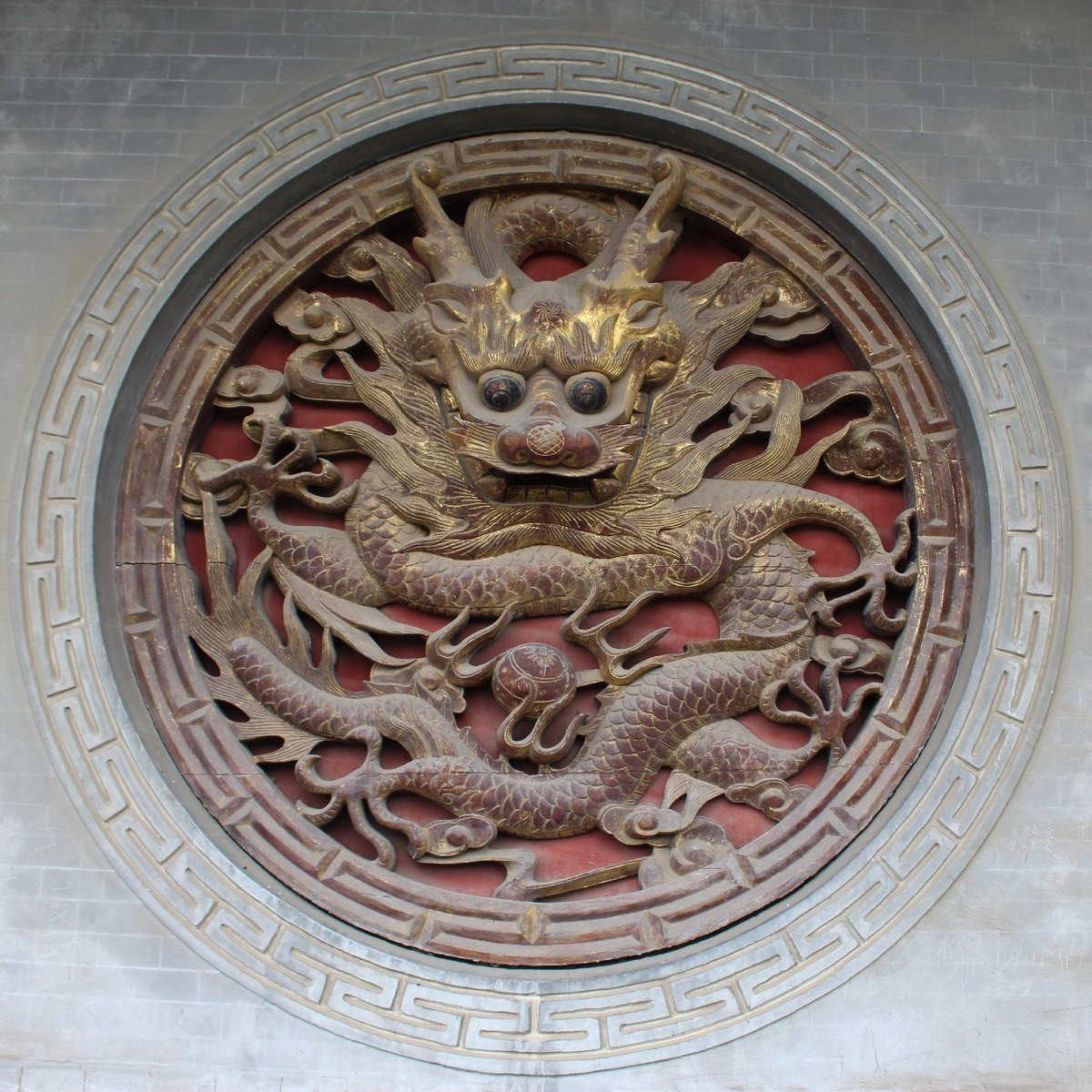 Императорский дракон. Фотография из личного архива