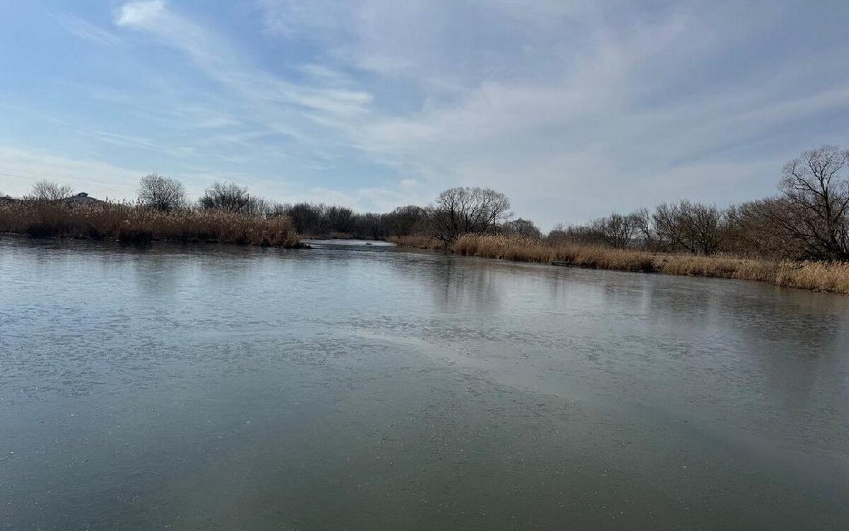    Ущерб от массовой гибели рыбы в Тамбовской области в результате загрязнения достиг почти 6 млн рублей Фото: прокуратура Тамбовской области