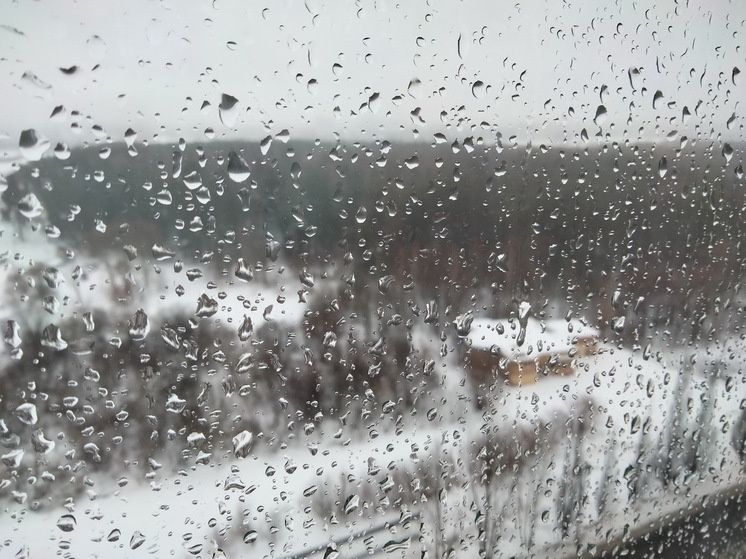   Анастасия Петрова