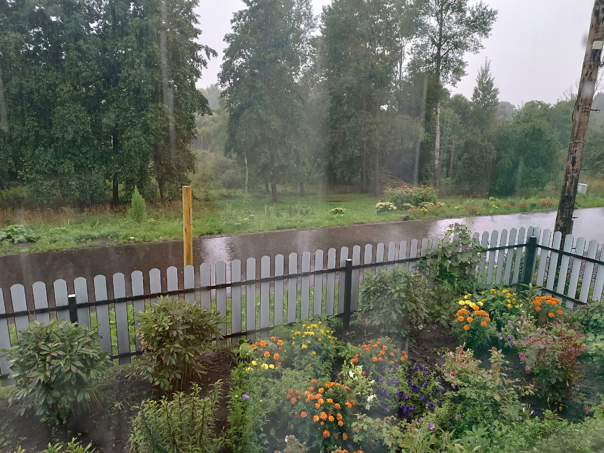 Вид из окна