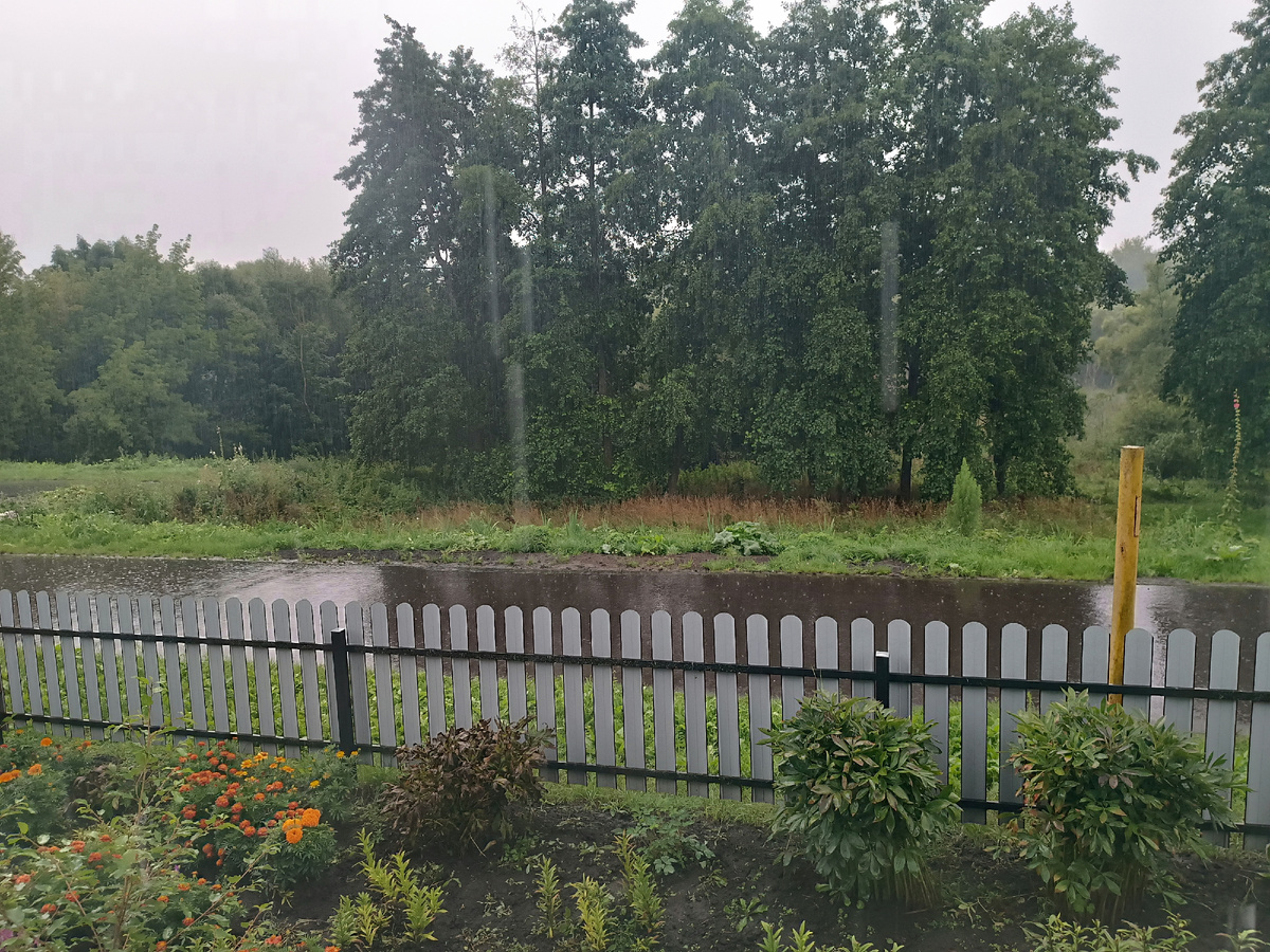 За деревьями болото 😊