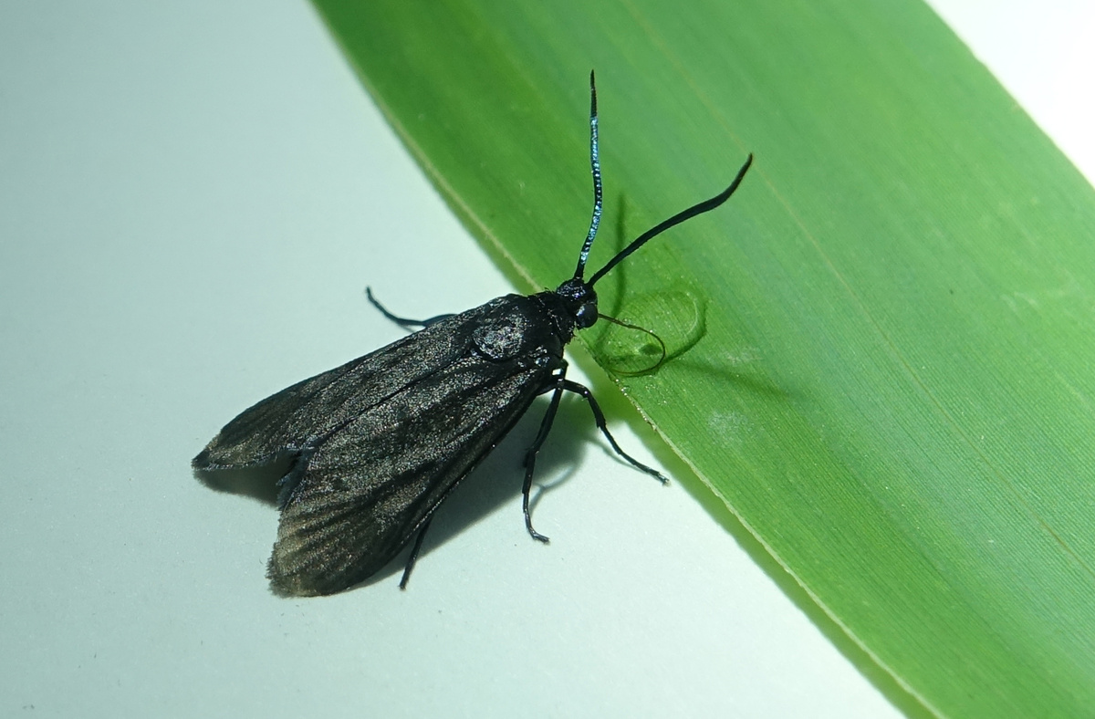 Фото: Константин Ефетов