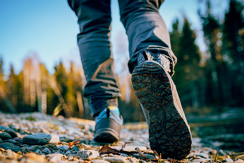    Shutterstock/FOTODOM