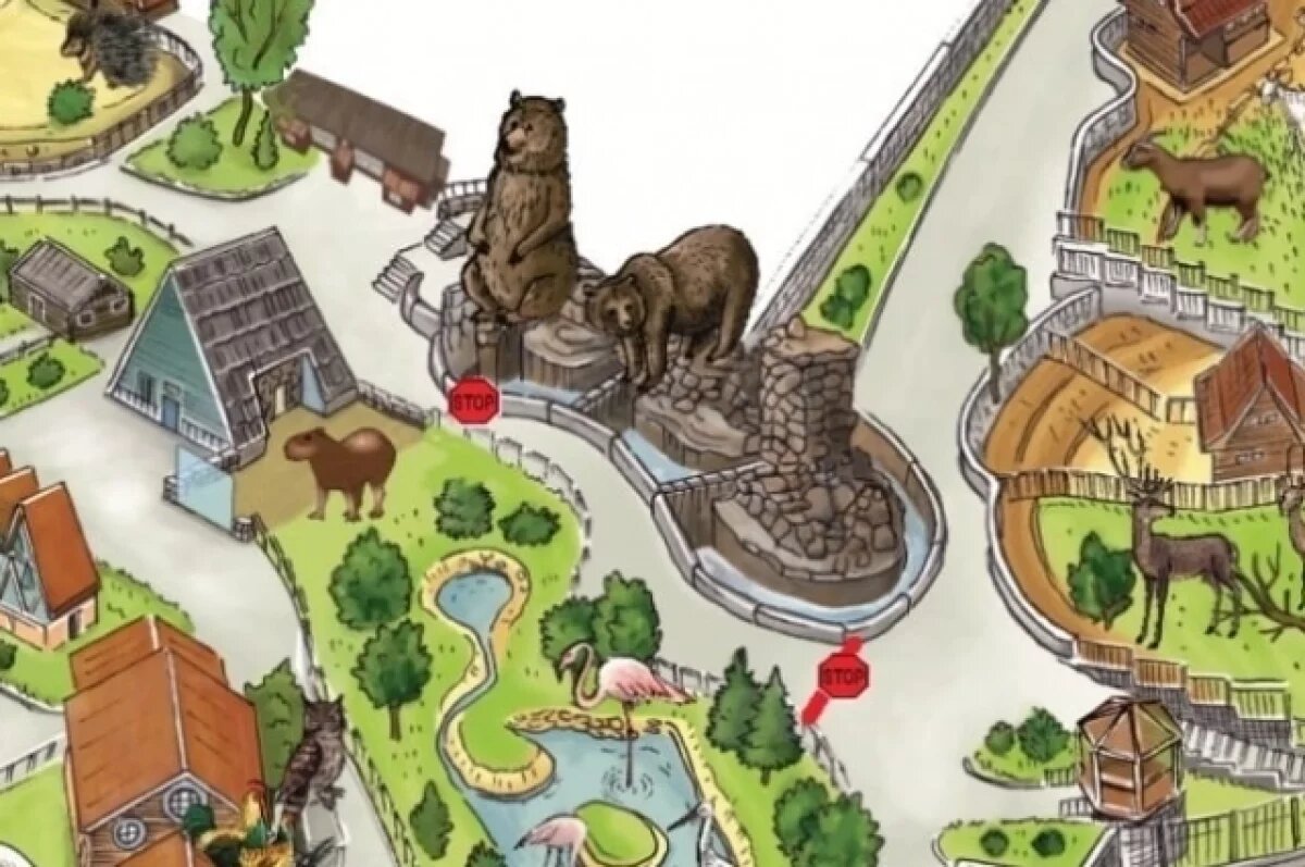    «Медвежью скалу» в зоопарке закрыли на обследование