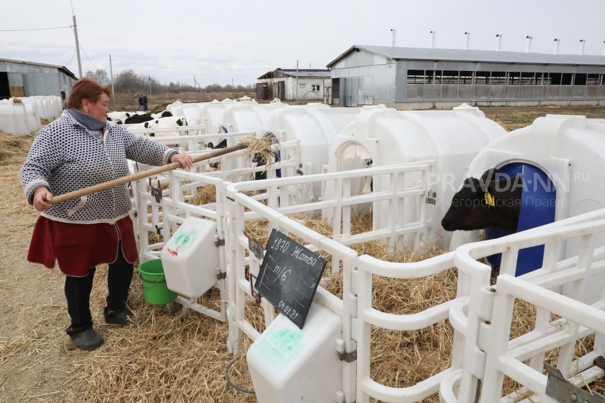    Повышенная выплата ждет тех, кто проработал в сельском хозяйстве не менее 30 лет