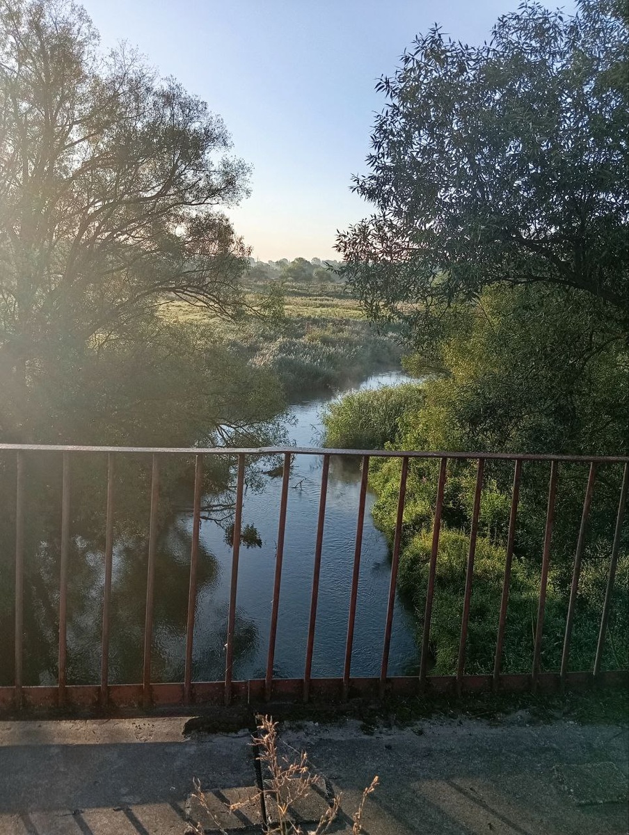 Утро встречает прохладой и свежестью