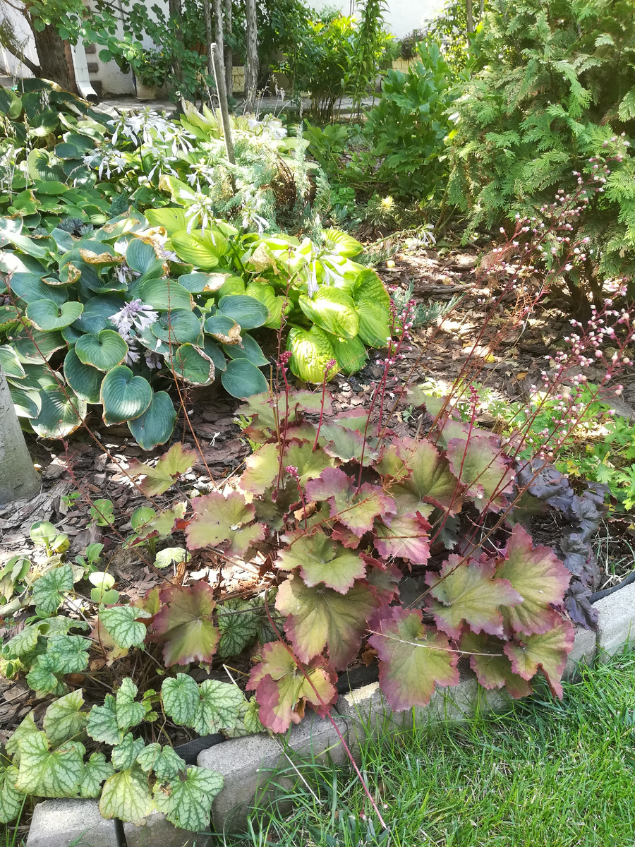 Вроде никто не пострадал. 