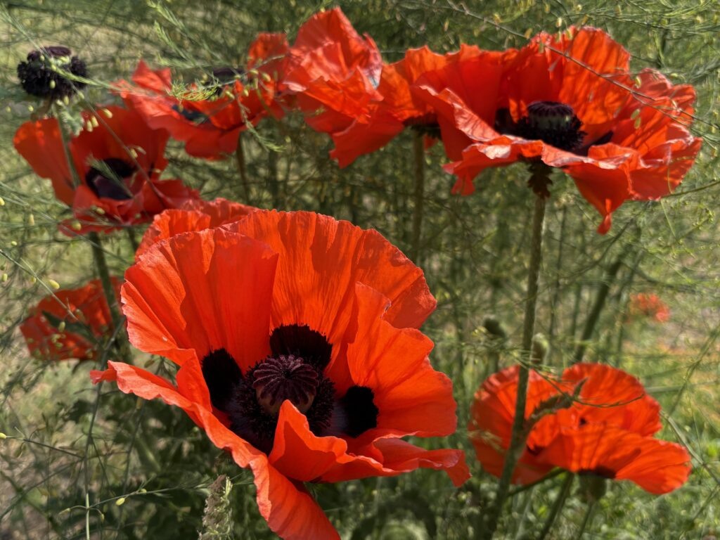    Фото: Ольга Гилева Ульяна Бажанова