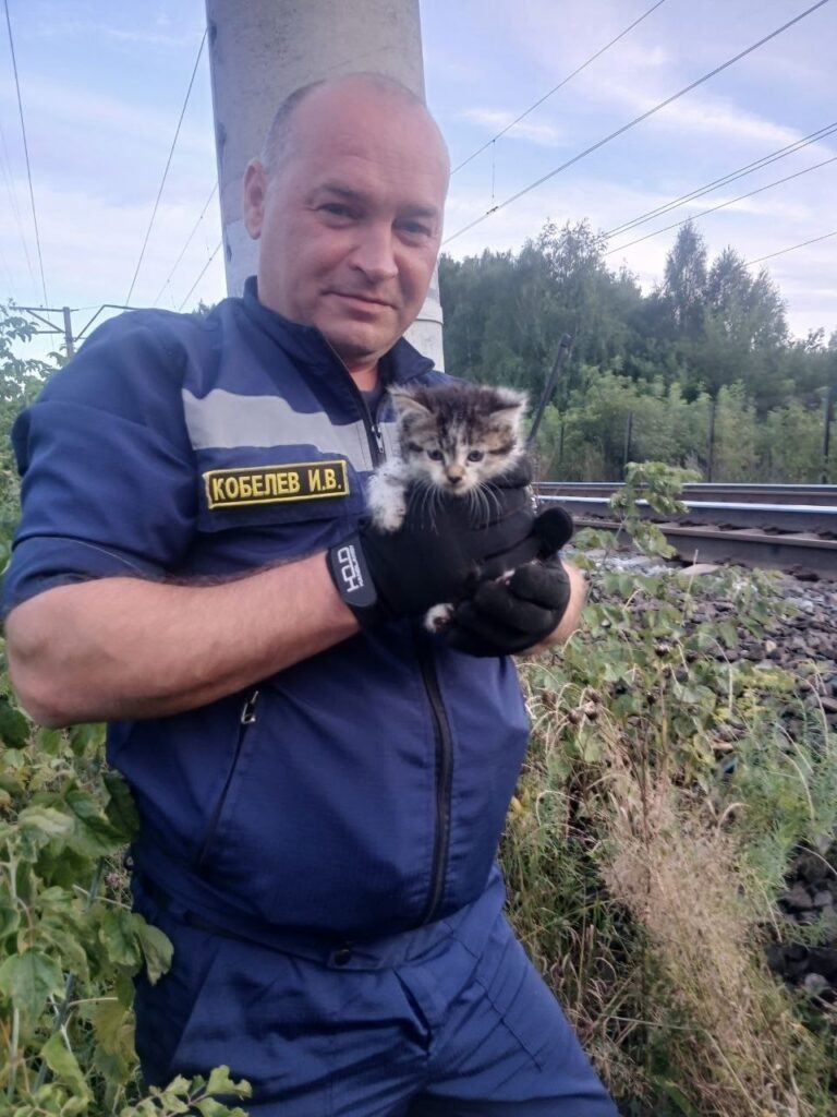    Фото: Поисково - спасательная служба КМО(16+). / VK Полина Анкушина