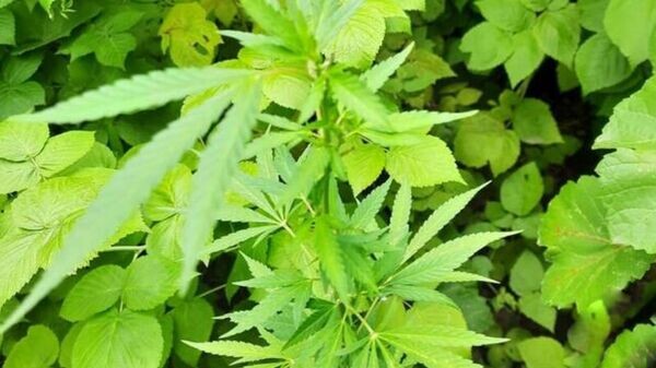    © Photo : Пресс-служба МВД РЮО