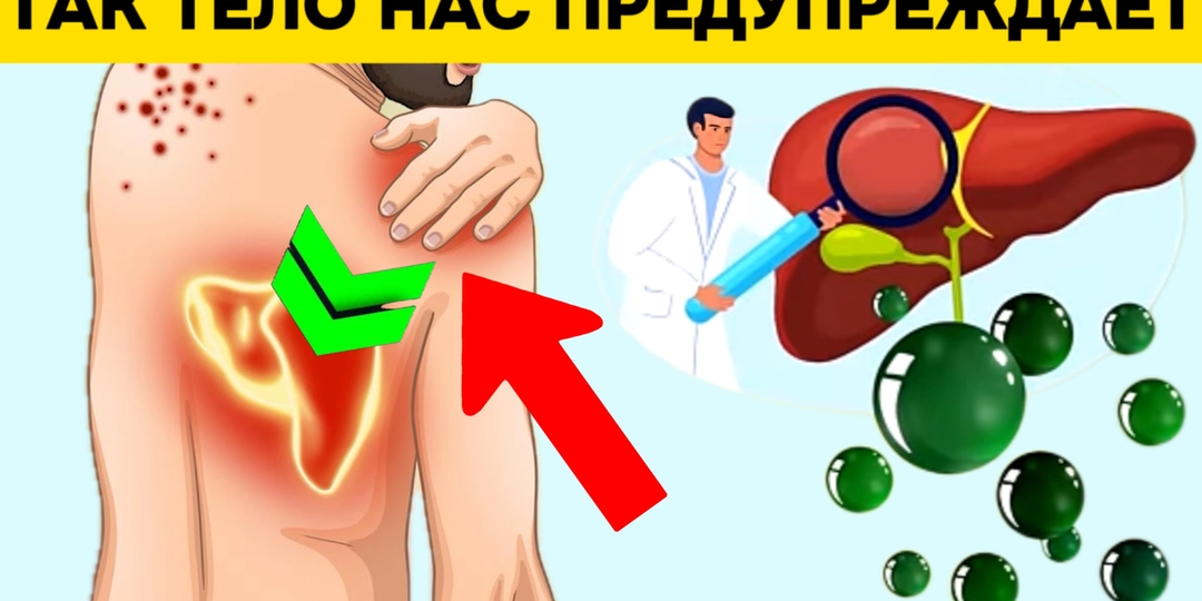 12 неочевидных признаков дефицита желчи, которые мы игнорируем (и почему это опасно)