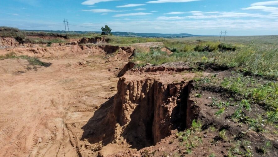    Фото: Минэкологии Татарстана