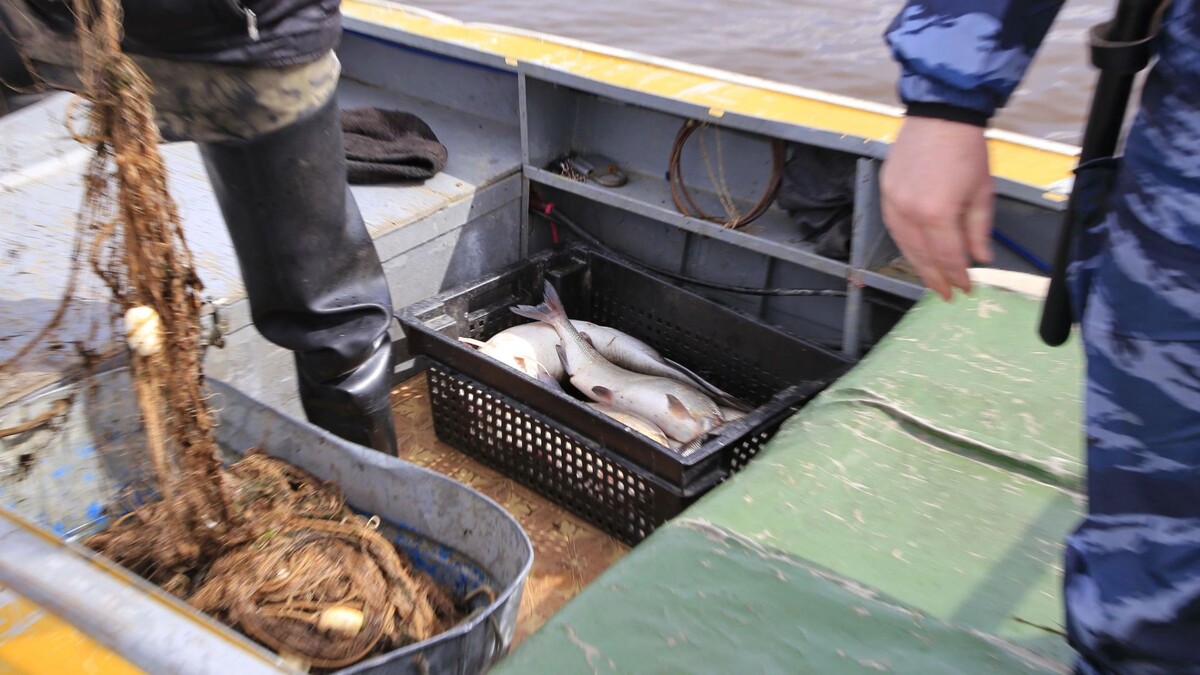    Фото: Андрей Ткачев/«Ямал-Медиа»