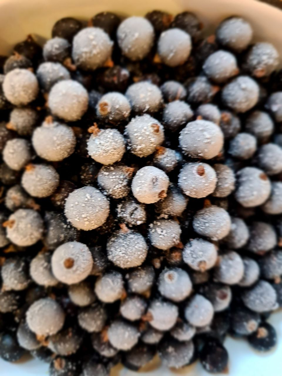 Фото из личного архива автора.