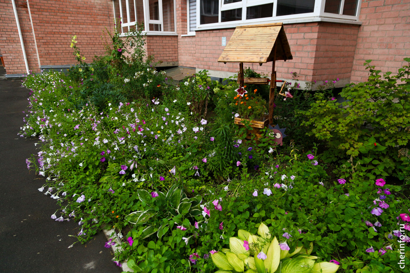    Татьяна Василишина живет на Суворова, 2 Б. Как только переехала сюда, начала разбивать вокруг своего дома цветники,