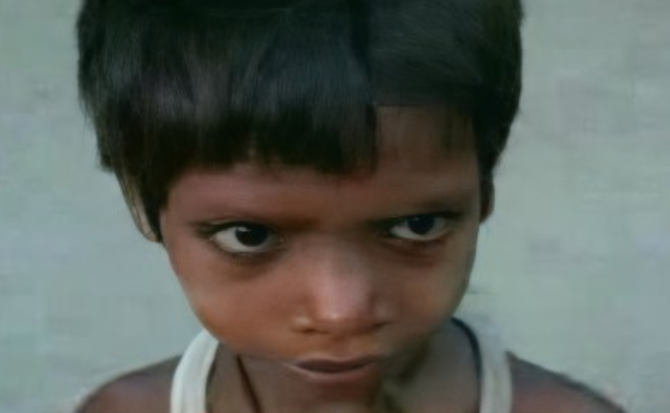 Фото: открытые источники