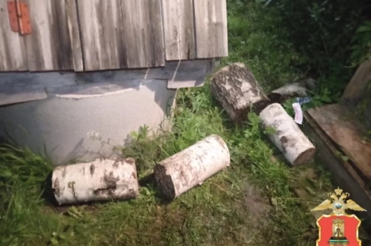    В Тверской области мужчина избил соседку поленом и облил бензином