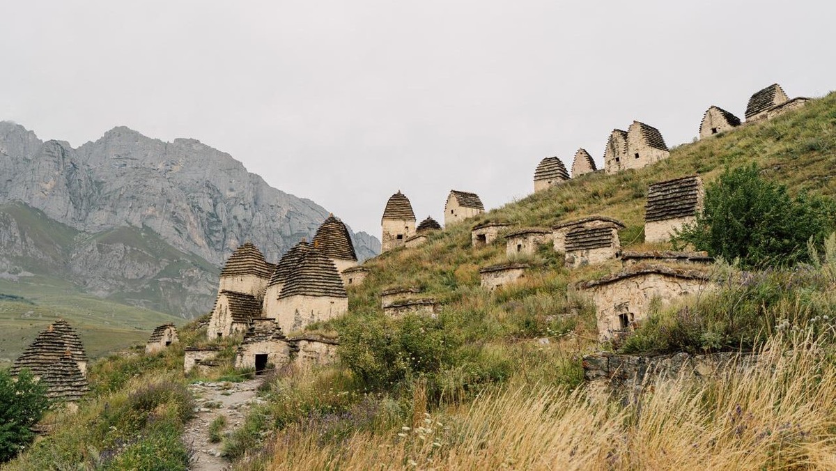    В Алании все по менталитету и воспитанию – волонтёры: Меняйло рассказал о взаимовыручке в регионе