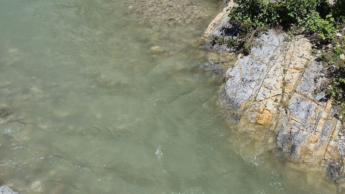    Фото: телеканал «Краснодар»