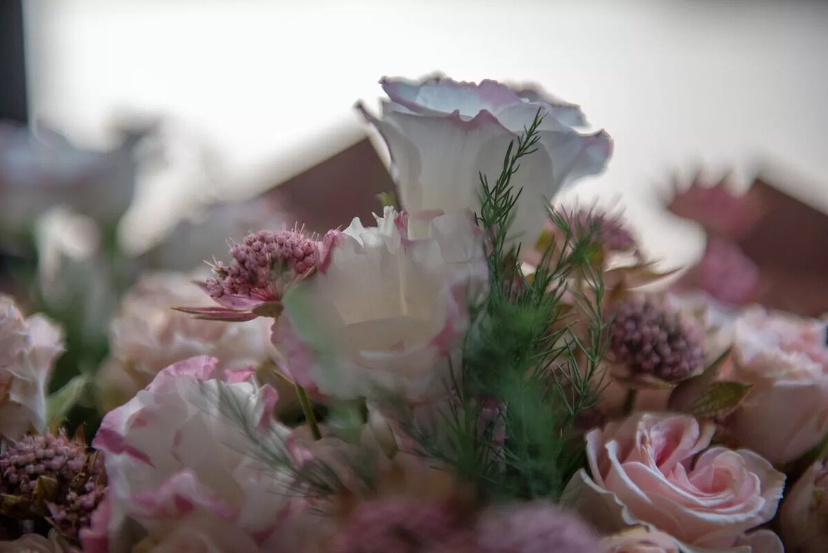 © Sputnik / Andranik Ghazaryan