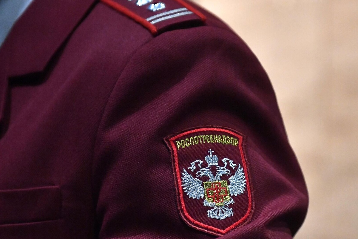    Фото: Павел Бедняков Источник: ria.ru