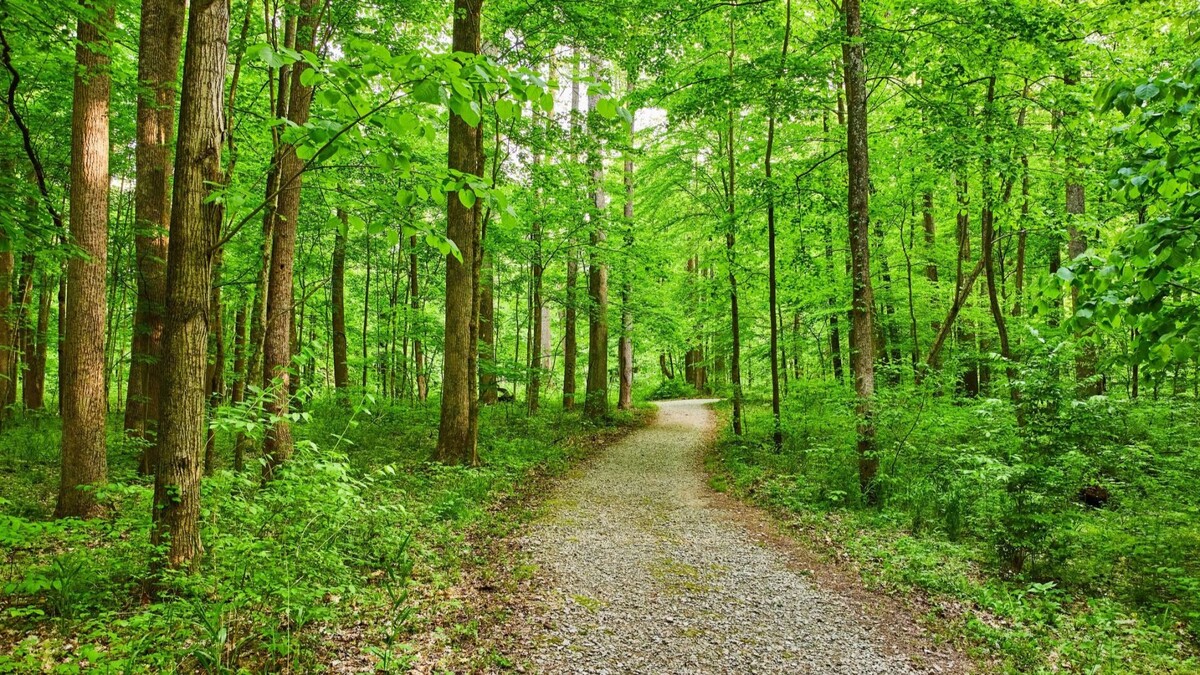    Фото: Nicholas J Klein/Shutterstock/Fotodom