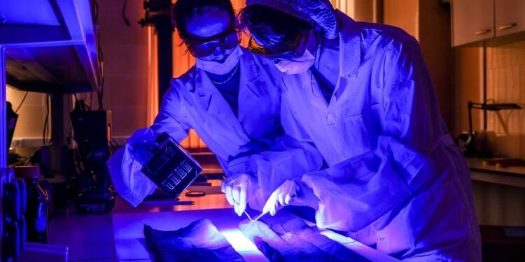    Владимир Гердо/ТАСС