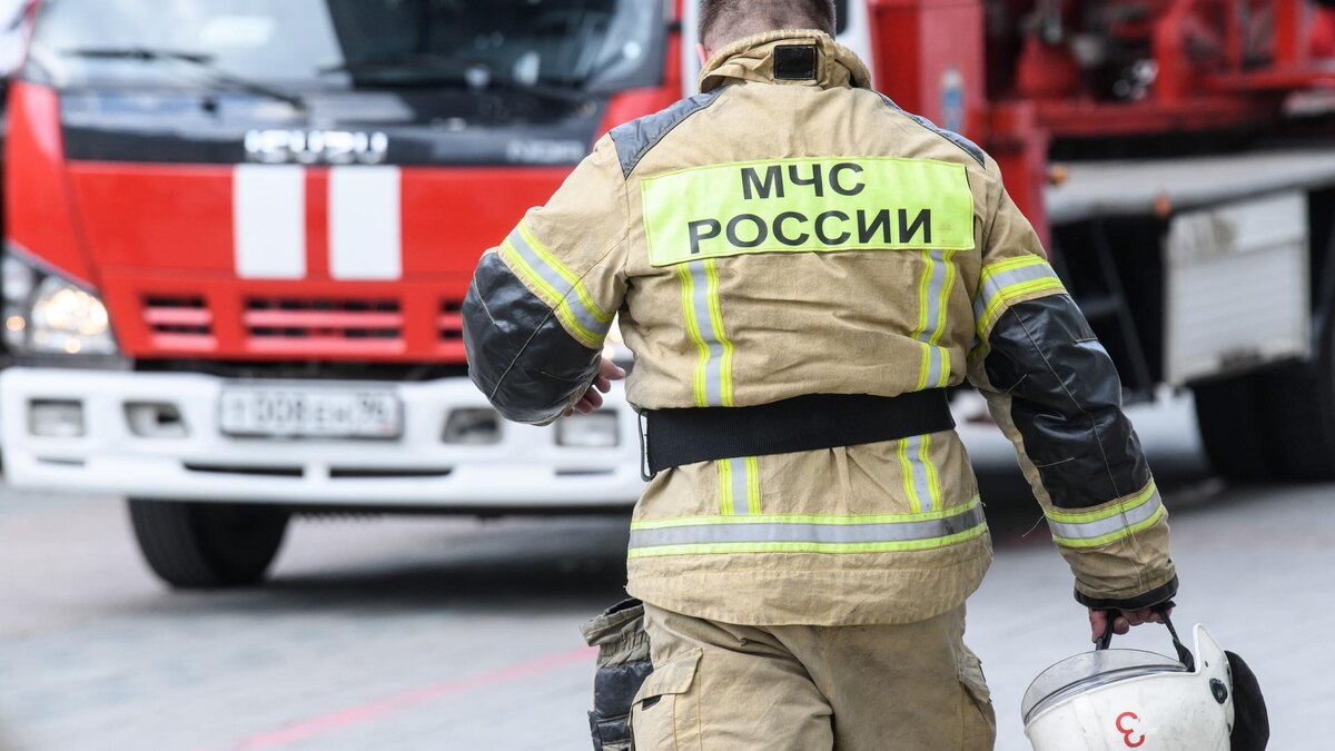    Фото: Ilya Moskovets/URA.RU/globallookpress.com