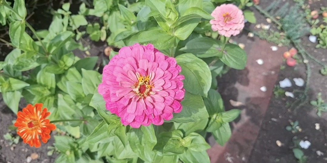 Одна с тремя детьми на даче🏡 Чем занимаемся и что готовлю из еды🍲