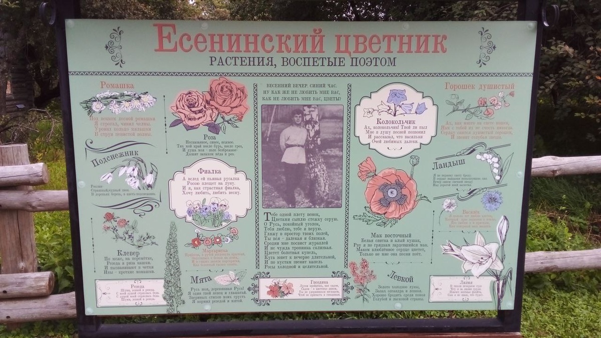 (фото автора)