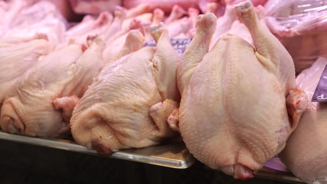    Фото: Petrov Sergey/Globallookpress