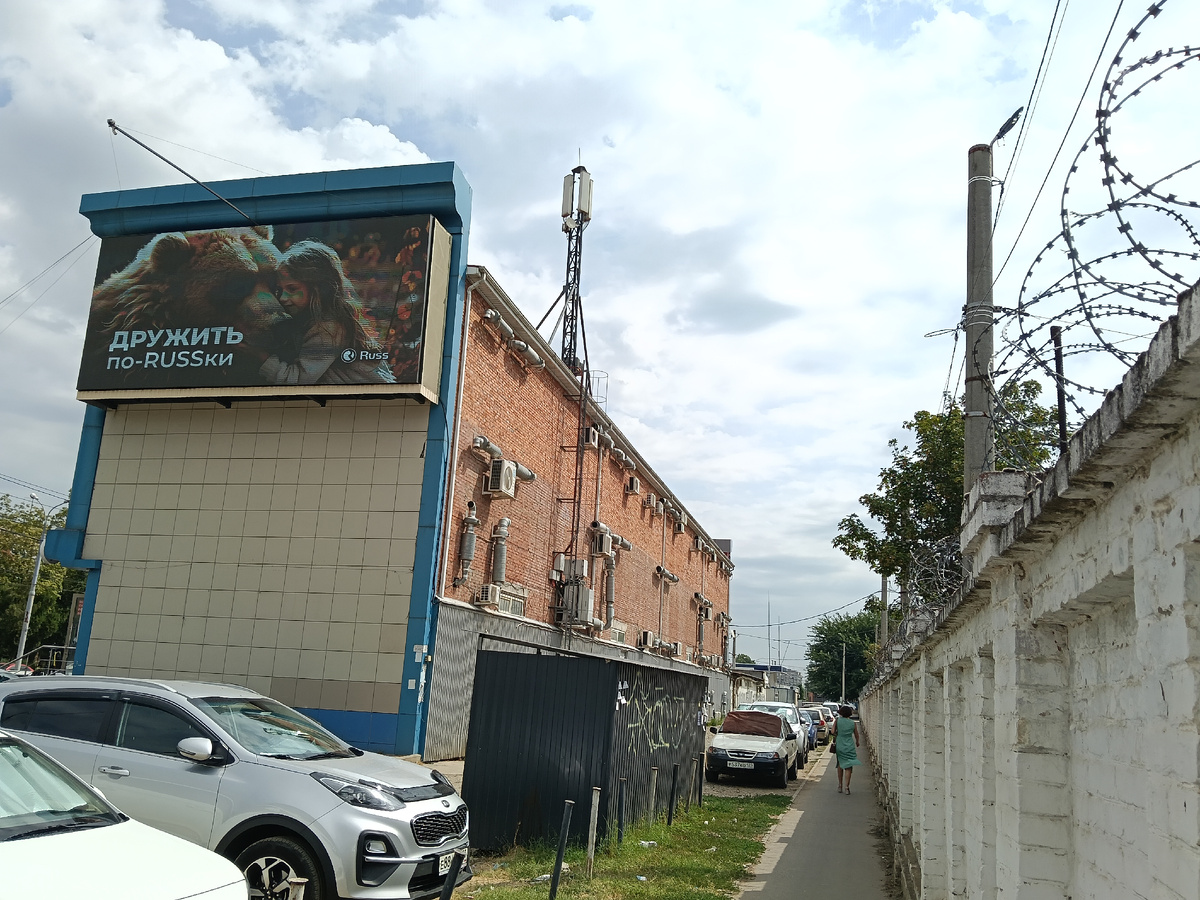 Краснодар. Лето 2025