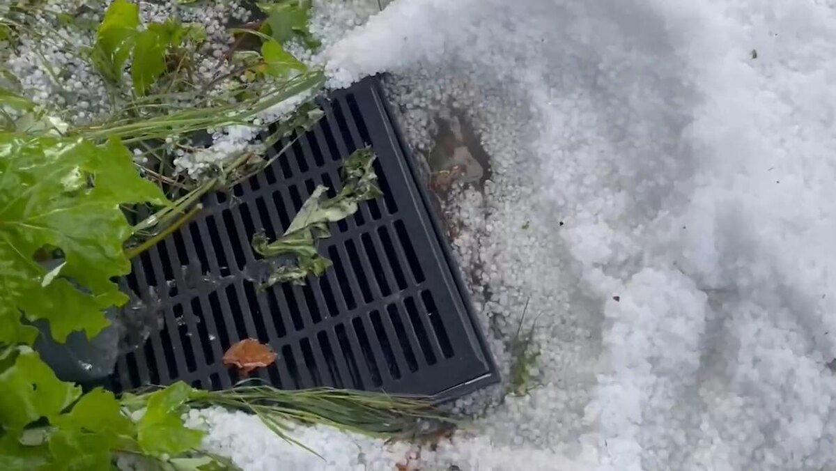    Фото: соцсети