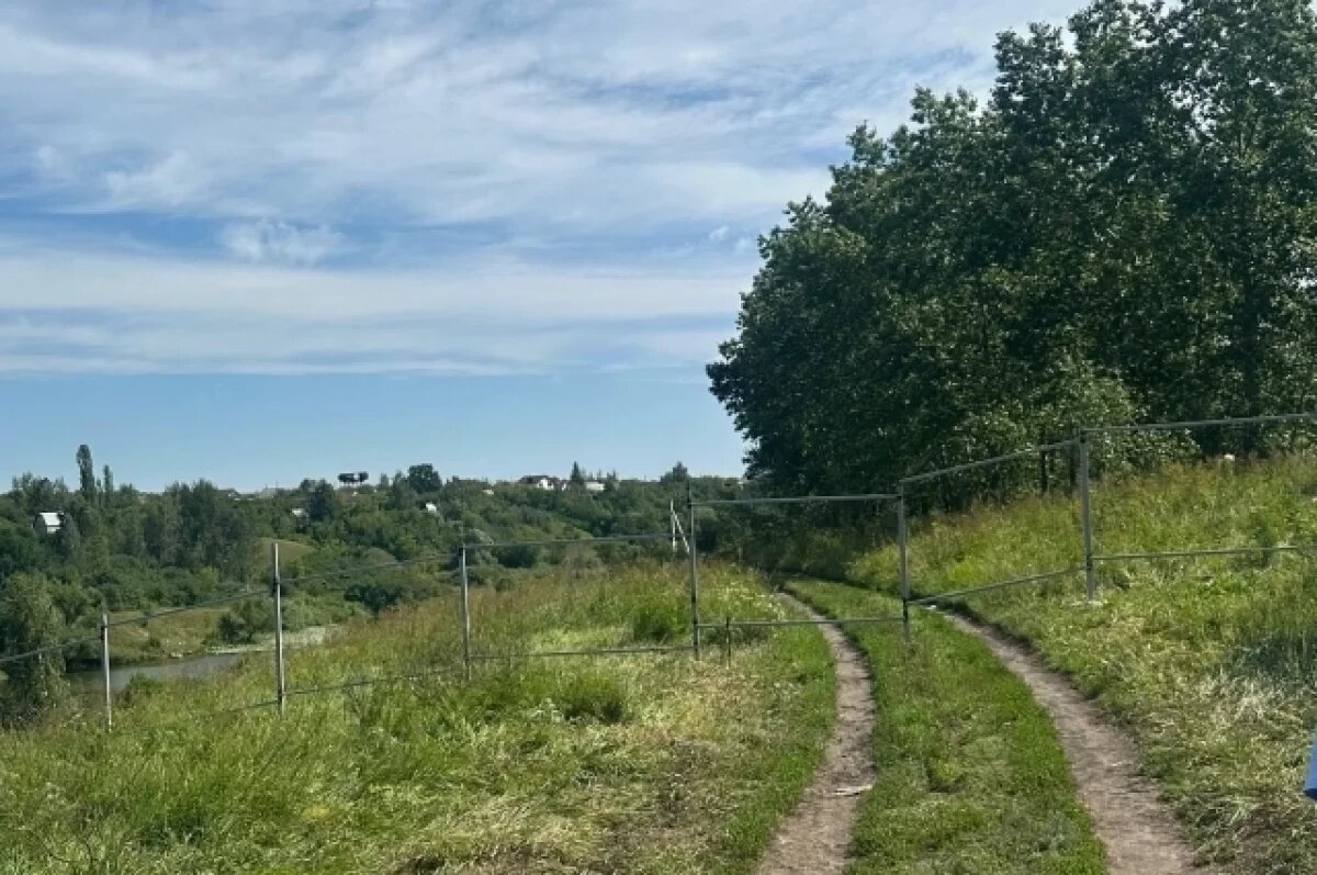    Забор возле воронежского пруда с лотосами признали законным