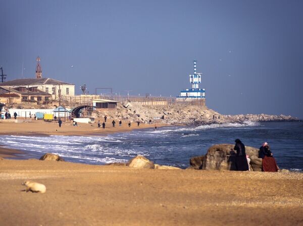 «Планомерно убивают». Британские нефтяные магнаты отравили море у России