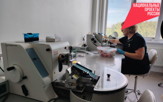    Фото пресс-службы правительства Новосибирской области