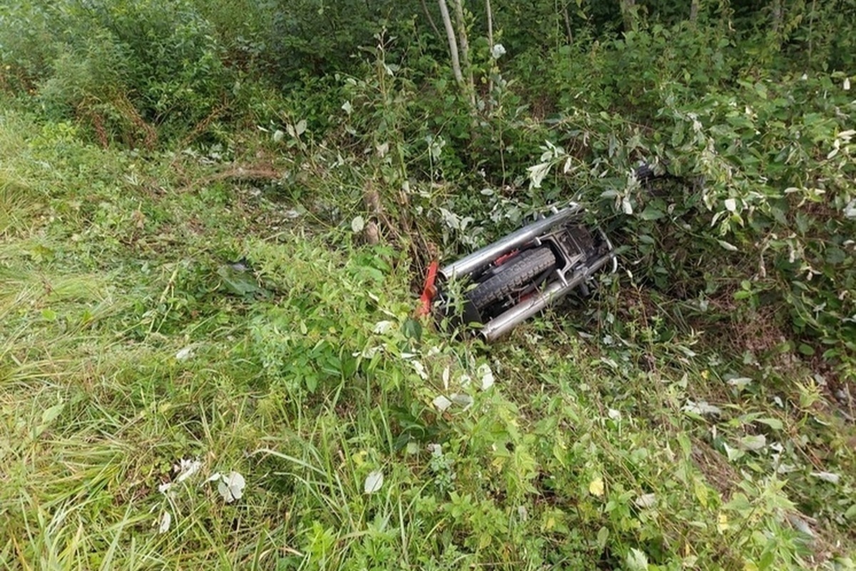    Фото: прокуратура Новгородской области Источник: t.me/novgorodproc