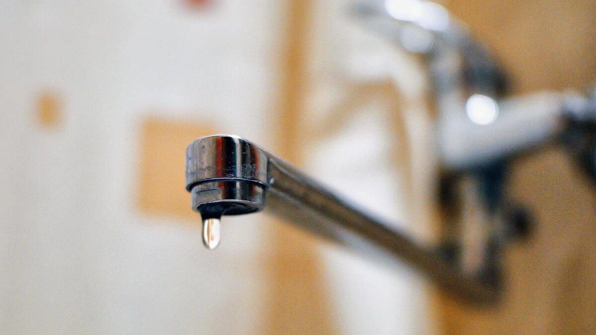   Артем Соболев / Коммерсантъ