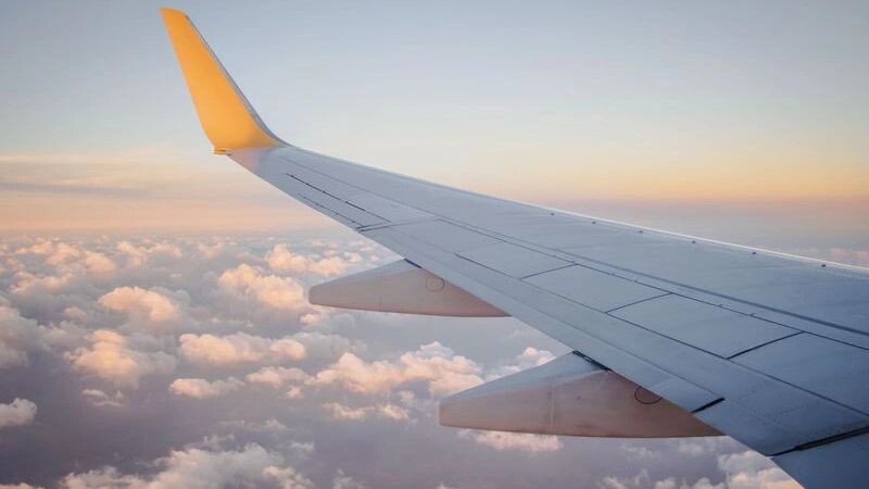    Фото: popcatter/Shutterstock/Fotodom