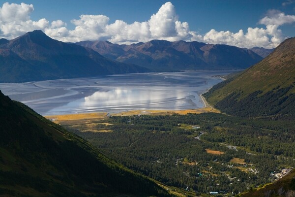    Гирдвуд / DanitaDelimont/Global Look Press