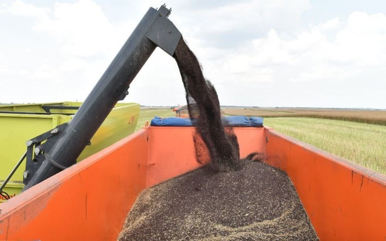    Фото: Департамент сельского хозяйства Брянской области