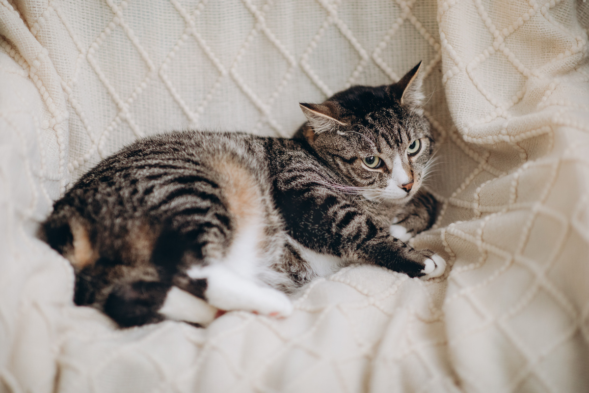 Марсель совершенно не против тест-драйва любой из этих игр
