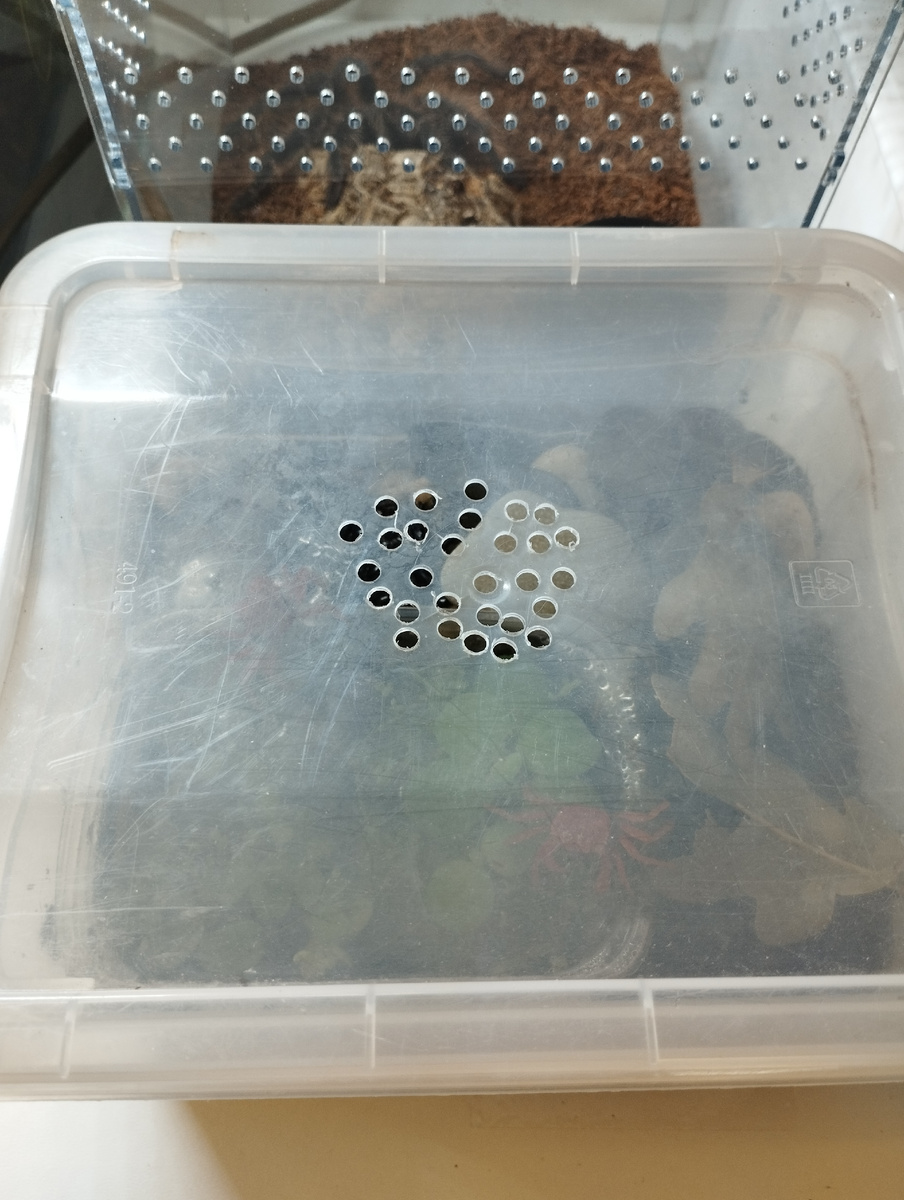 Домик снаружи