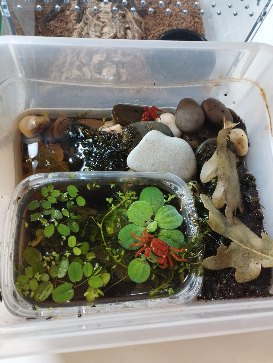 Внутри жизнь