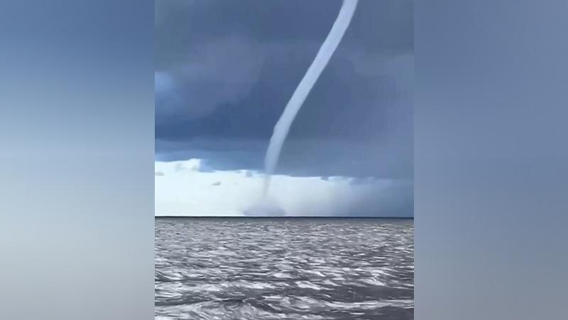    Фото: соцсети